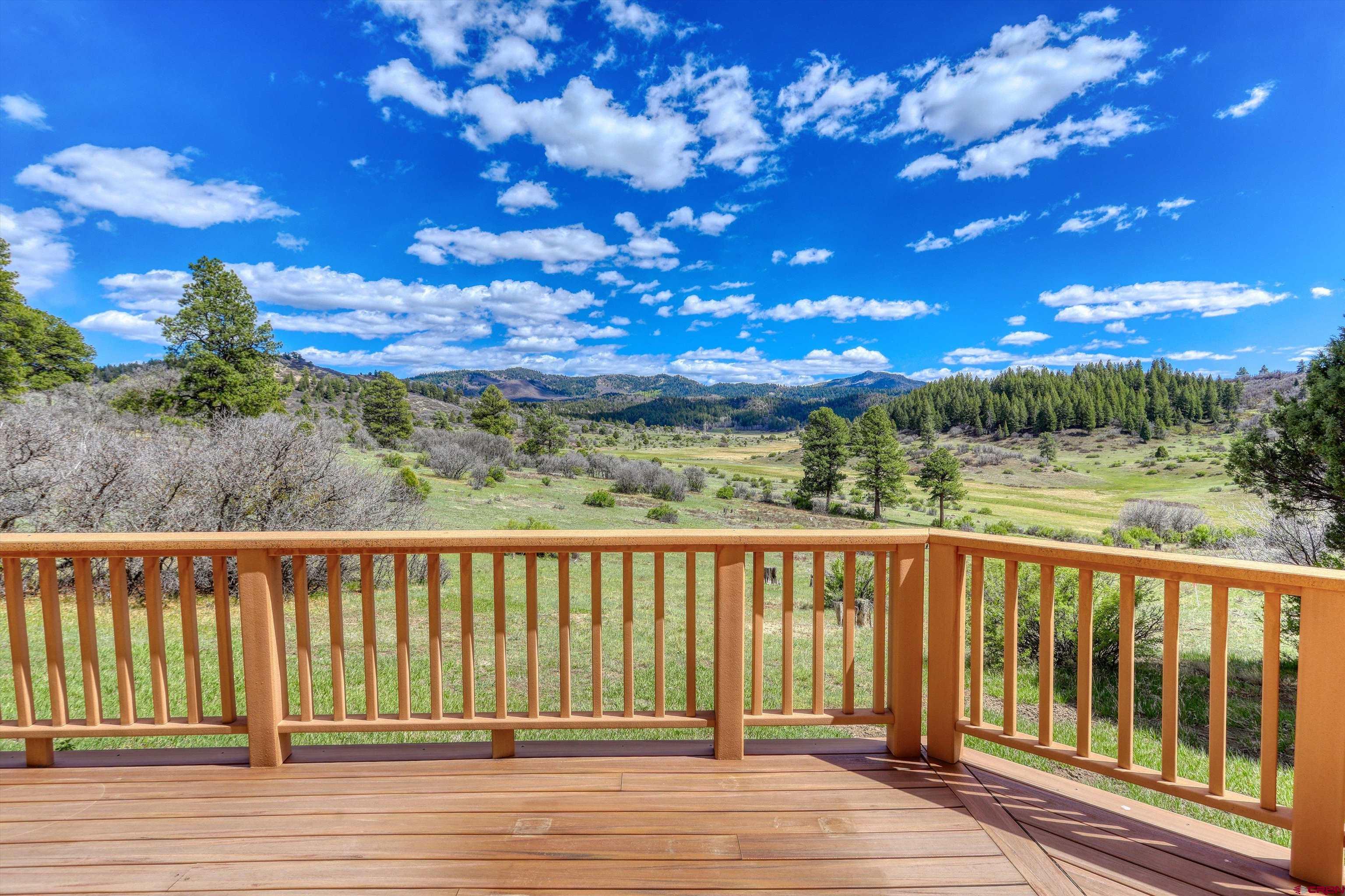 719 Spring Creek Circle Chromo, CO 81128 - Photo 31 of 45