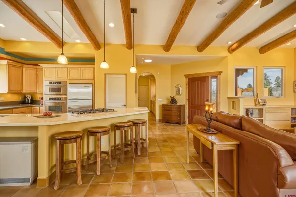 $989,500 | 719 Spring Creek Circle, Chromo, CO 81128