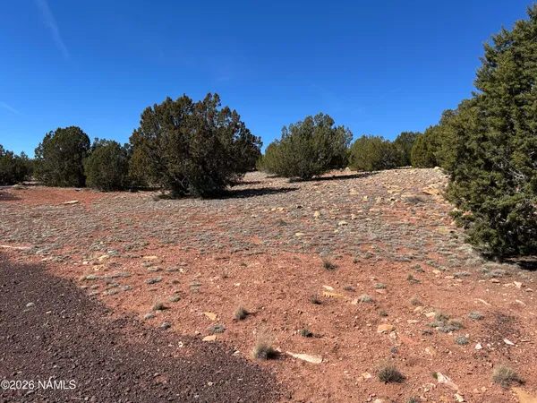 $35,000 | 6708 West Wild Honey Drive, Williams, AZ 86046