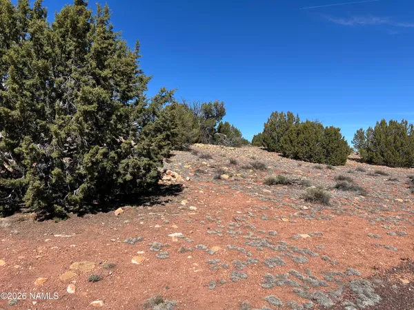 $35,000 | 6708 West Wild Honey Drive, Williams, AZ 86046