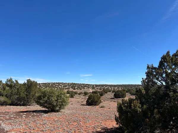$35,000 | 6708 West Wild Honey Drive, Williams, AZ 86046