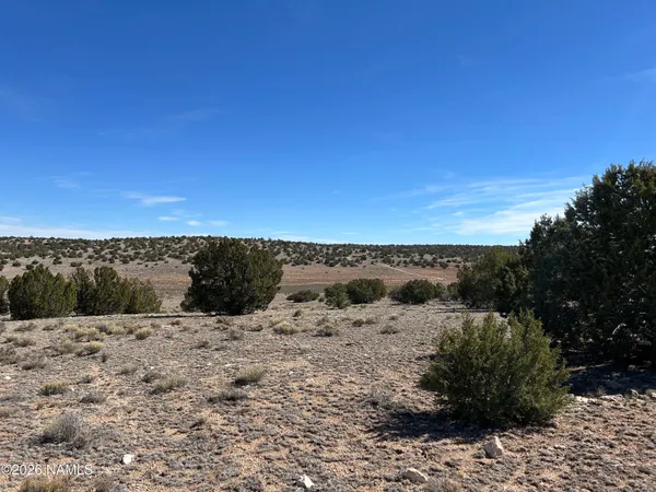 $35,000 | 6708 West Wild Honey Drive, Williams, AZ 86046