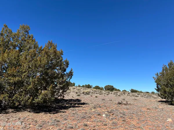 $35,000 | 6708 West Wild Honey Drive, Williams, AZ 86046