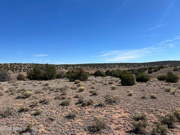 $35,000 | 6708 West Wild Honey Drive, Williams, AZ 86046