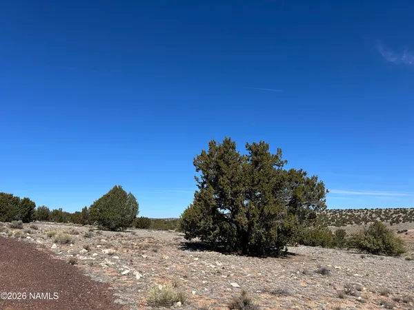 $35,000 | 6708 West Wild Honey Drive, Williams, AZ 86046