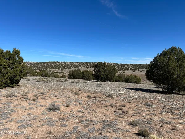 $35,000 | 6708 West Wild Honey Drive, Williams, AZ 86046