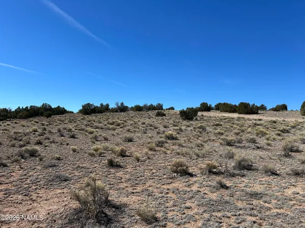$35,000 | 6708 West Wild Honey Drive, Williams, AZ 86046