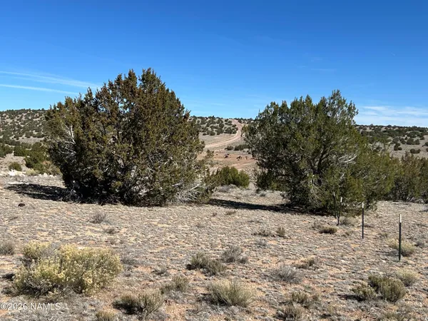 $35,000 | 6708 West Wild Honey Drive, Williams, AZ 86046