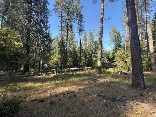 $239,000 | 0 Pine Cone Lane, Meadow Vista, CA 95602