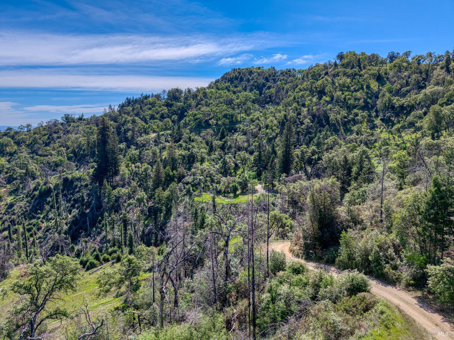 12300 Skaggs Springs Road Geyserville, CA 95441 - Photo 49 of 68 Heading East towards the home. Seller has done extensive work clearing dead trees from a fire a some years ago. There is always more to do on a ranch like this.