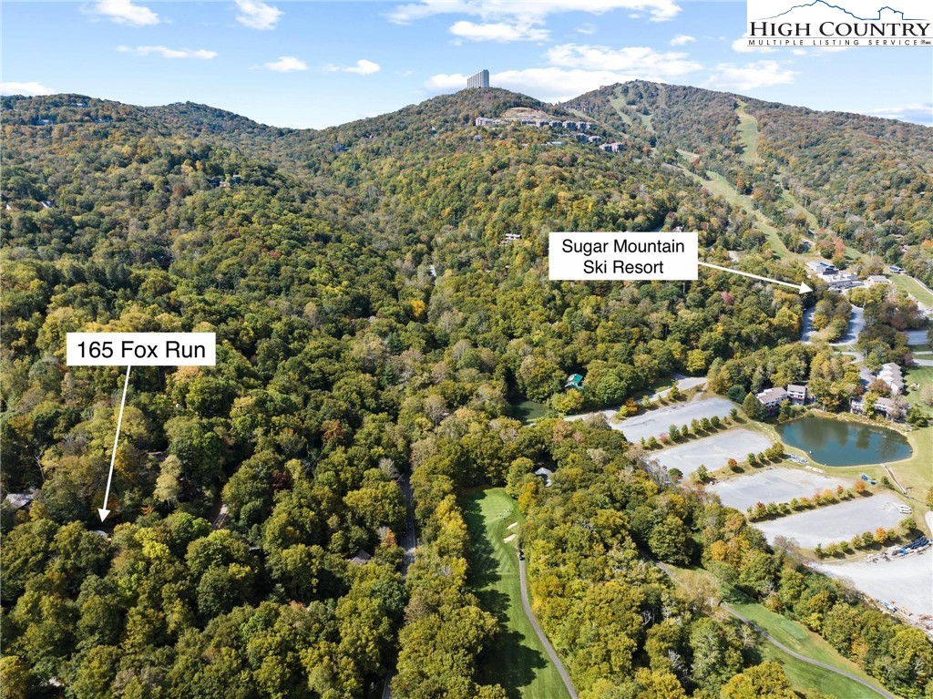 165 Fox Run Road Sugar Mountain, NC 28604 - Photo 3 of 41 Gallery Image 3