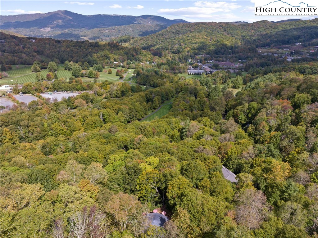 165 Fox Run Road Sugar Mountain, NC 28604 - Photo 40 of 41 Gallery Image 40
