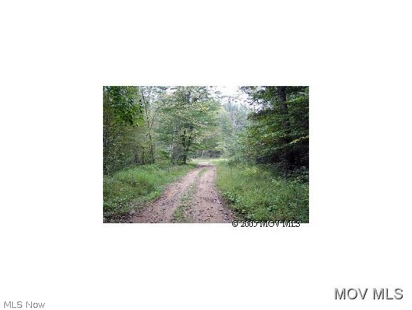 0 Off Rt 47 Near Fox Run Cairo, WV 26337 - Photo 1 of 1 Gallery Image 1