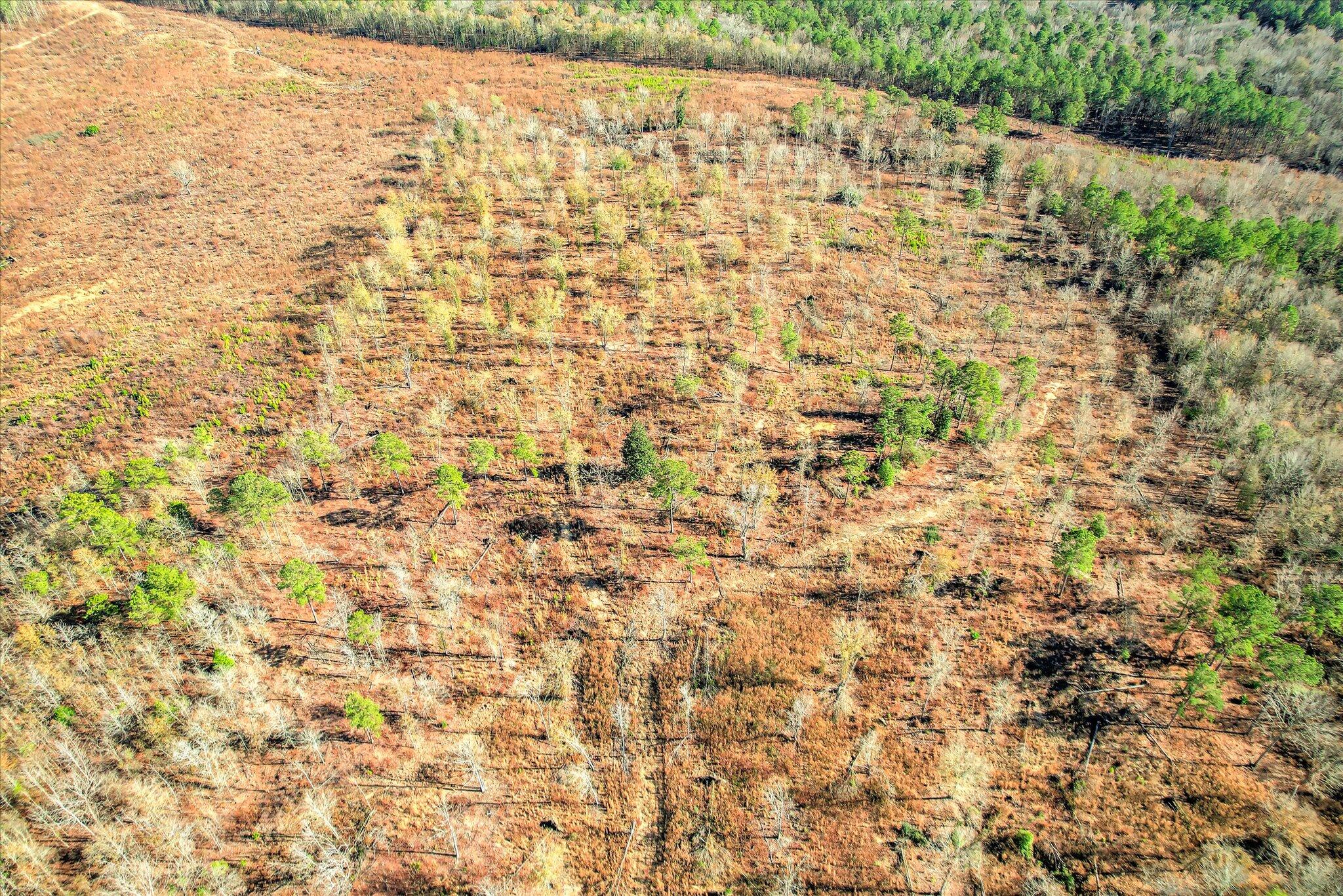 4 Blackstone Camp Road Beech Island, SC 29842 - Photo 15 of 21 15-115