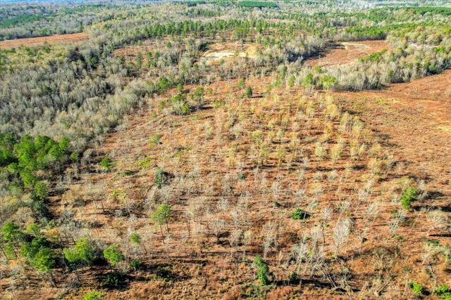 $250,000 | 4 Blackstone Camp Road, Beech Island, SC 29842