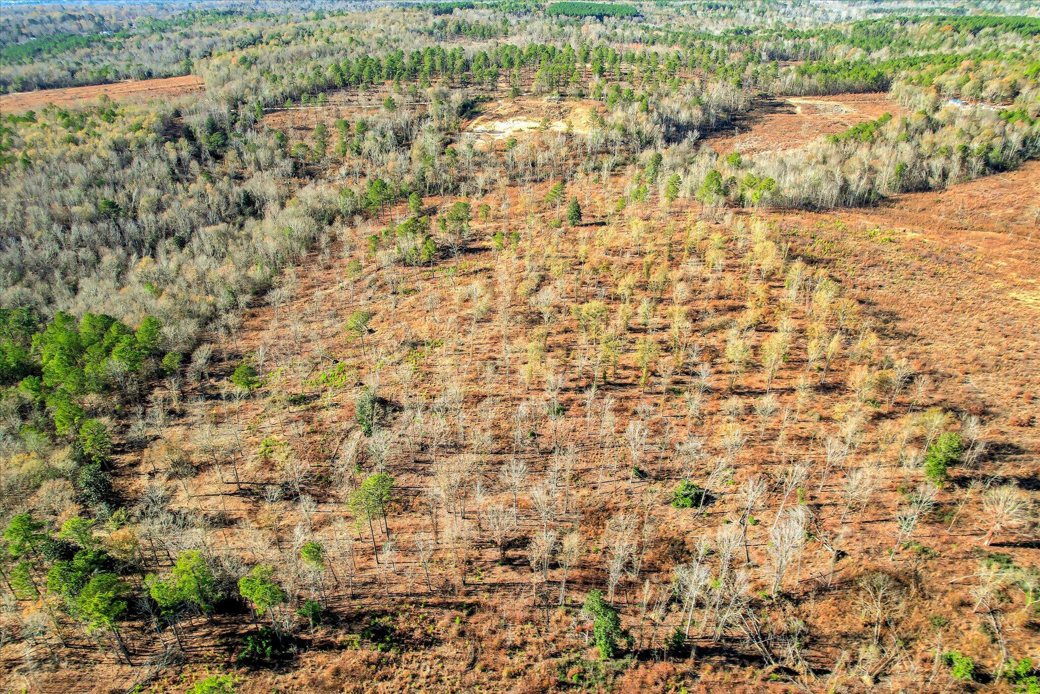 4 Blackstone Camp Road Beech Island, SC 29842 - Photo 16 of 21 16-116