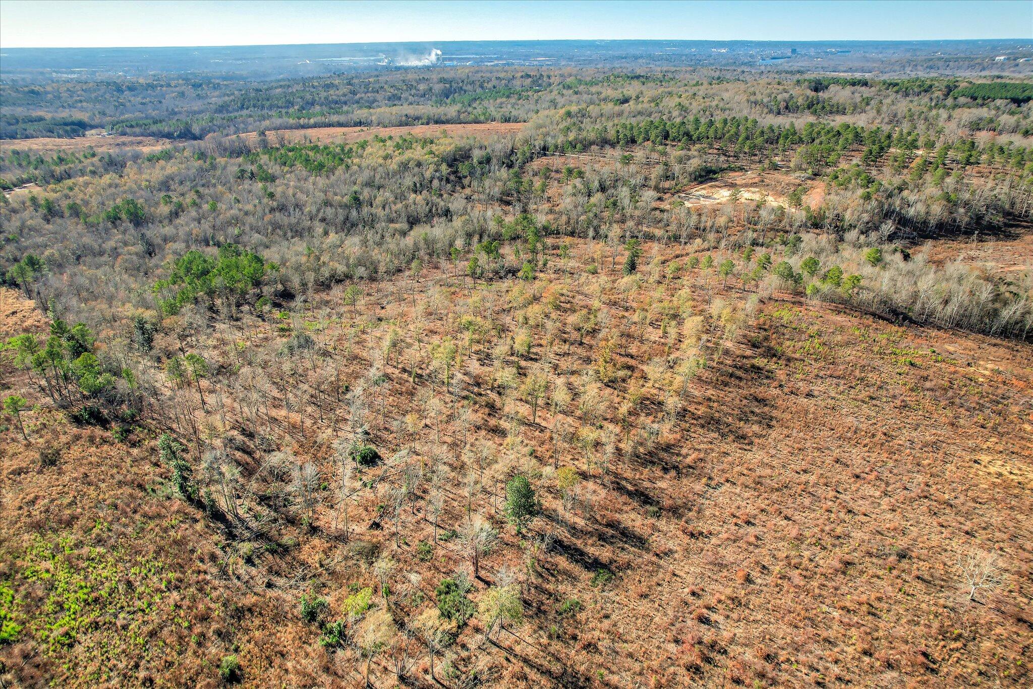 4 Blackstone Camp Road Beech Island, SC 29842 - Photo 17 of 21 17-117