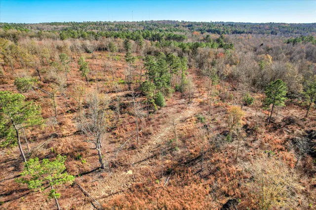 $250,000 | 4 Blackstone Camp Road, Beech Island, SC 29842