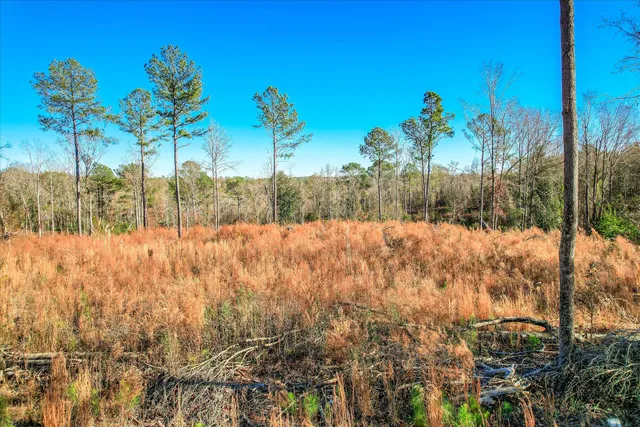 $250,000 | 4 Blackstone Camp Road, Beech Island, SC 29842