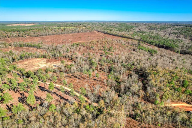 $250,000 | 4 Blackstone Camp Road, Beech Island, SC 29842