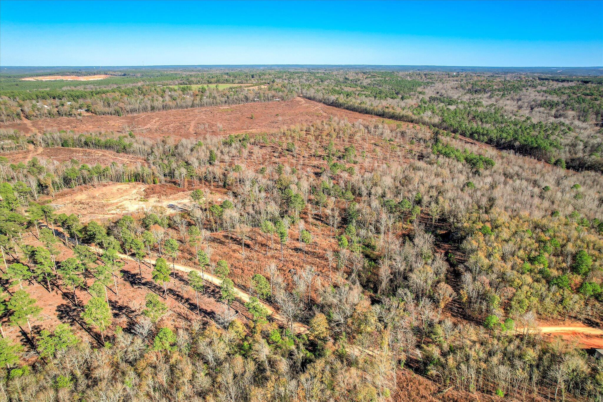 4 Blackstone Camp Road Beech Island, SC 29842 - Photo 5 of 21 03-103