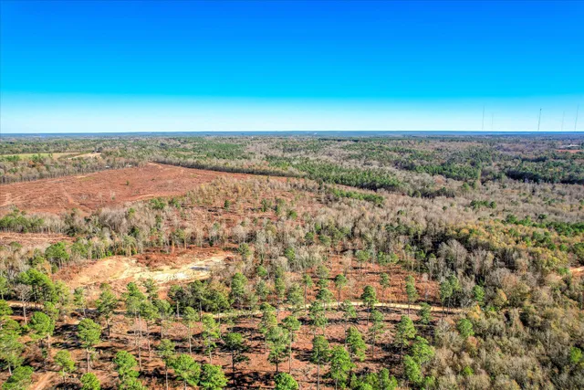 $250,000 | 4 Blackstone Camp Road, Beech Island, SC 29842