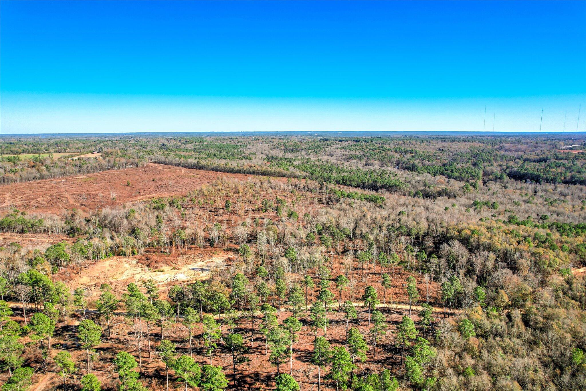 4 Blackstone Camp Road Beech Island, SC 29842 - Photo 7 of 21 06-106