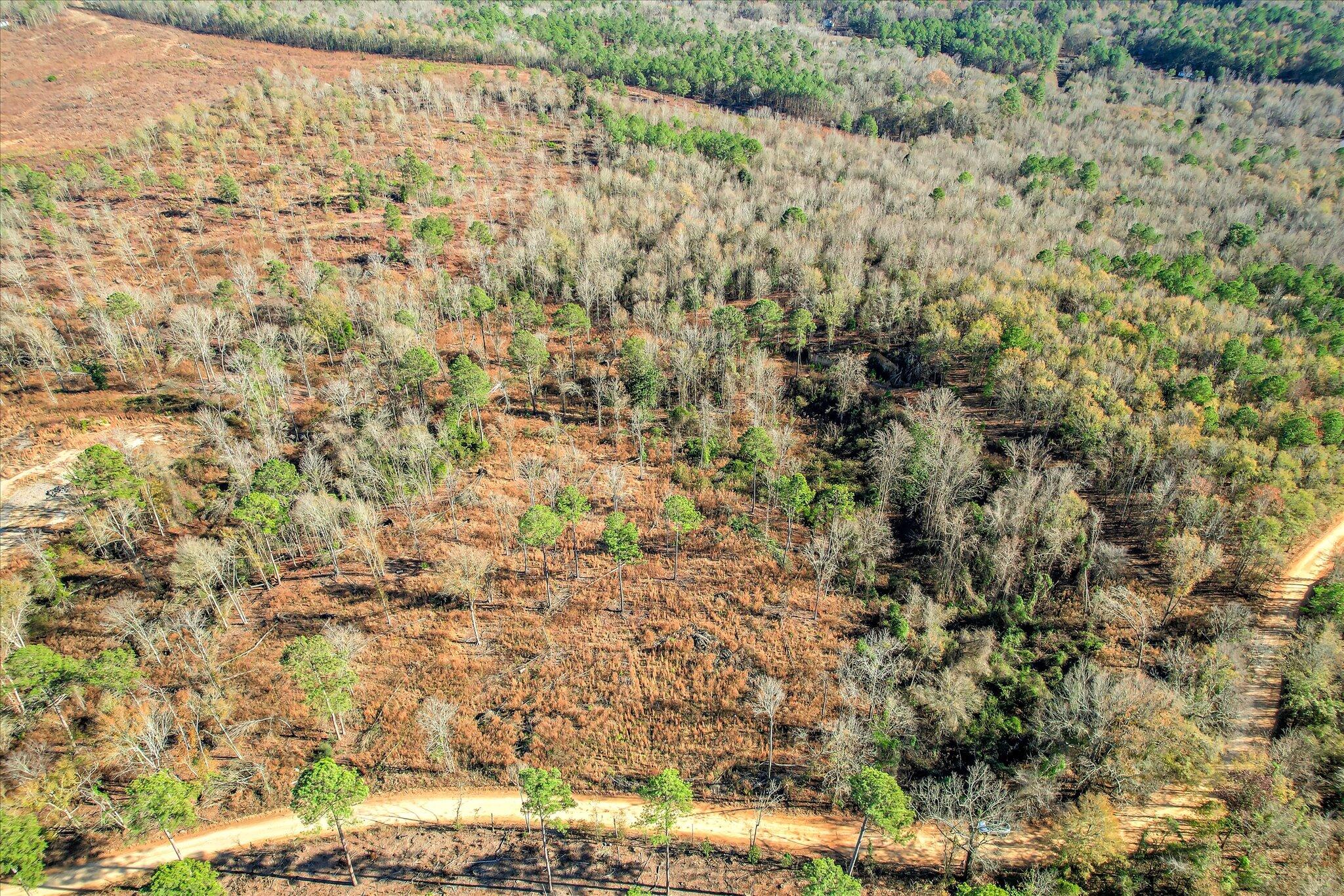 4 Blackstone Camp Road Beech Island, SC 29842 - Photo 8 of 21 07-107
