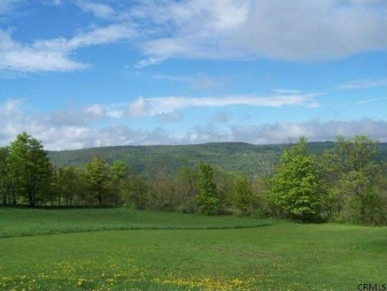 525 High Point Road Middleburgh, NY 12122 - Photo 3 of 11 Photo 3