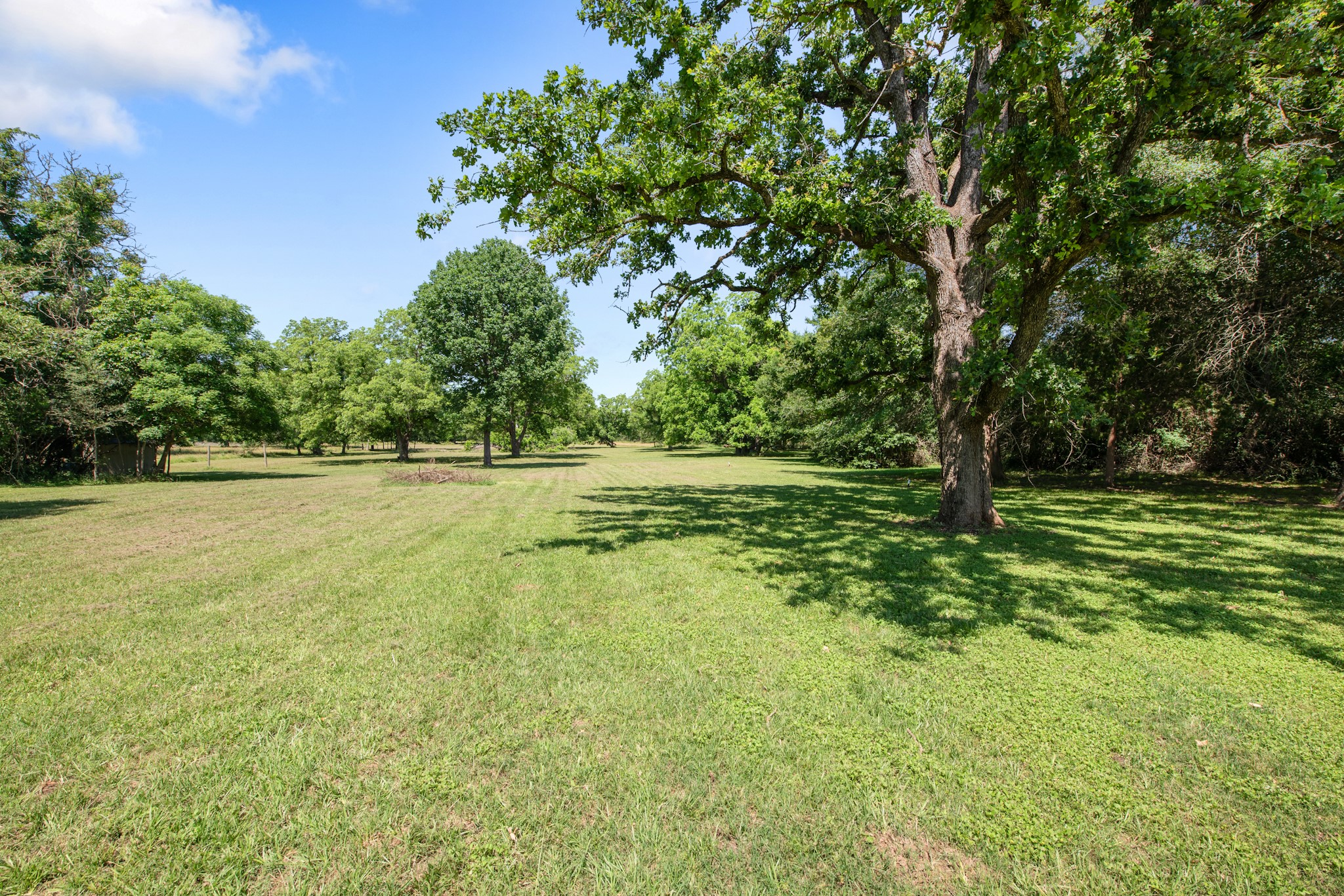 13732 Ferrill Creek Road Bryan, TX 77808 - Photo 19 of 20