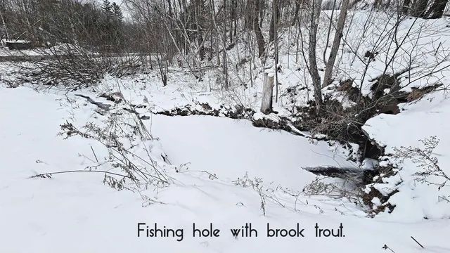 $245,000 | 1335 Downsingsville Road, Lincoln, VT 05443