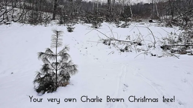 $245,000 | 1335 Downsingsville Road, Lincoln, VT 05443