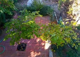 $249,900 | 702 South Spruce Street, Coffeyville, KS 67337