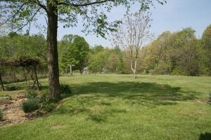 932 Grindstone Hollow Road Bedford, IN 47421 - Photo 5 of 22 Gallery Image 5