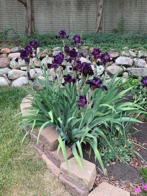 29312 Raleigh Road Farmington, MI 48336 - Photo 21 of 24 Gallery Image 21