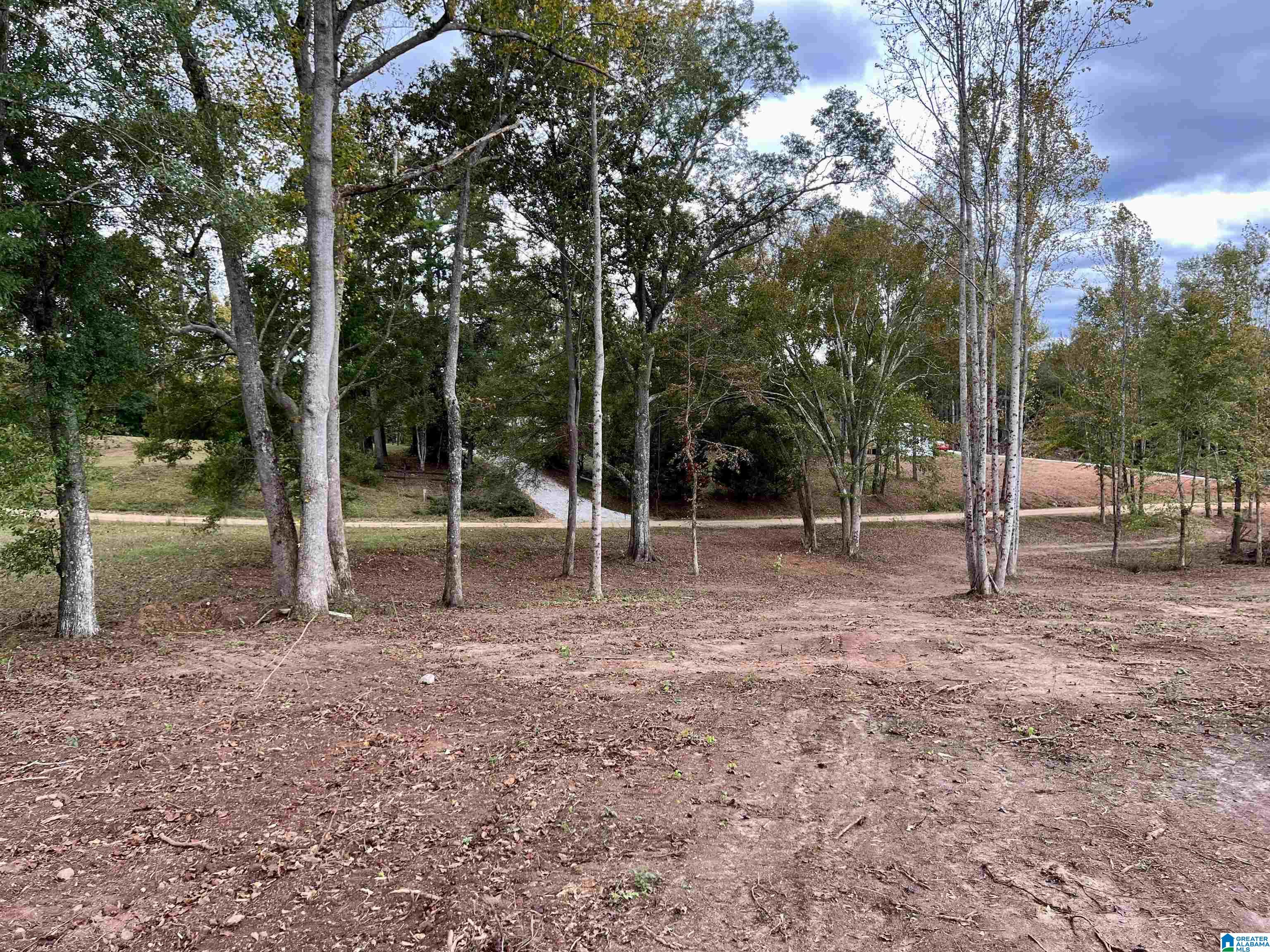 0 County Road 4 Wedowee, AL 36278 - Photo 21 of 24