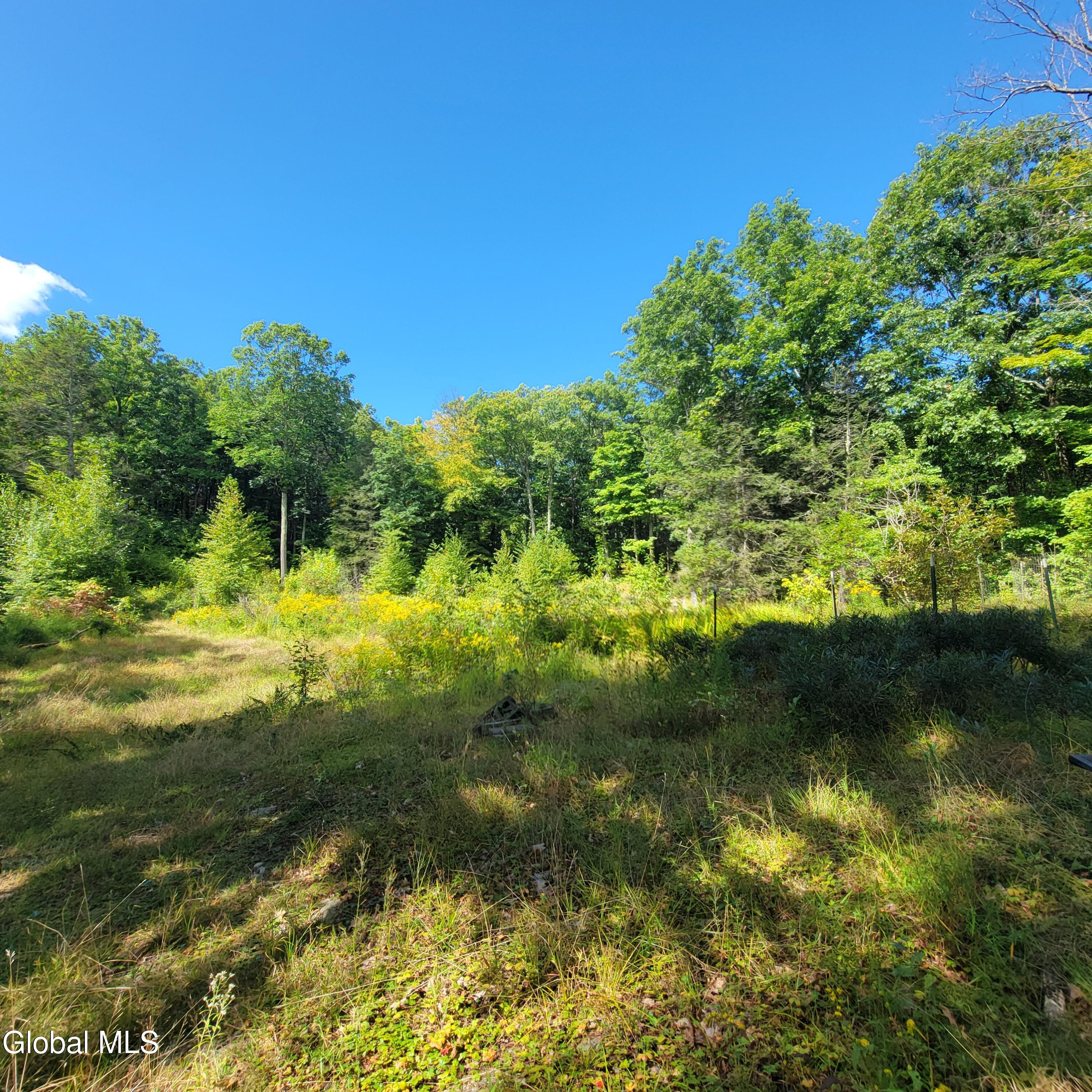 1711 County Rte 27 Taghkanic, NY 12521 - Photo 16 of 48 20260914_113217
