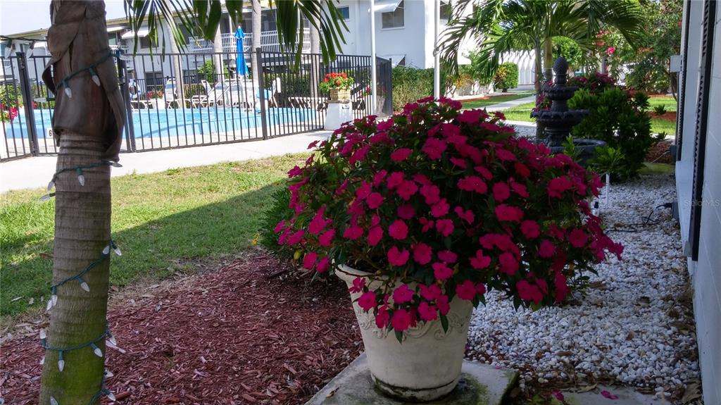 5929 Easy Street, Unit I23 Bradenton, FL 34207 - Photo 24 of 24 a picture of flowers