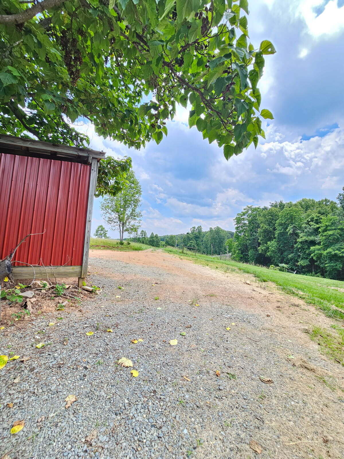 345 Deep Woods Road Hardy, VA 24101 - Photo 11 of 13 Drive