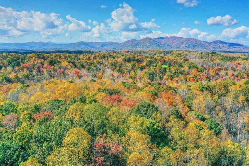 345 Deep Woods Road Hardy, VA 24101 - Photo 4 of 13 Back land mountain land