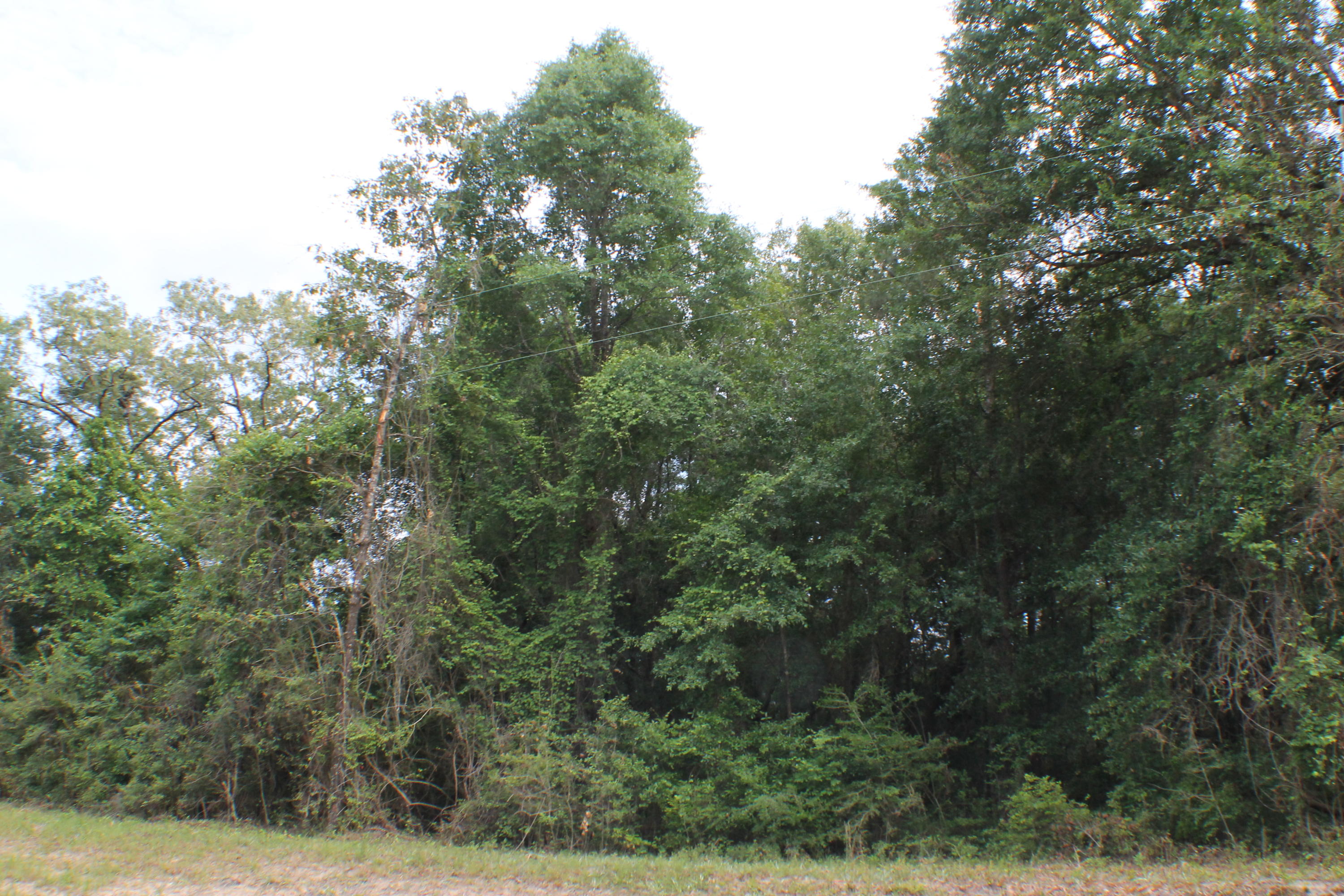3960 Millside Road Laurel Hill, FL 32567 - Photo 19 of 35 IMG_7070