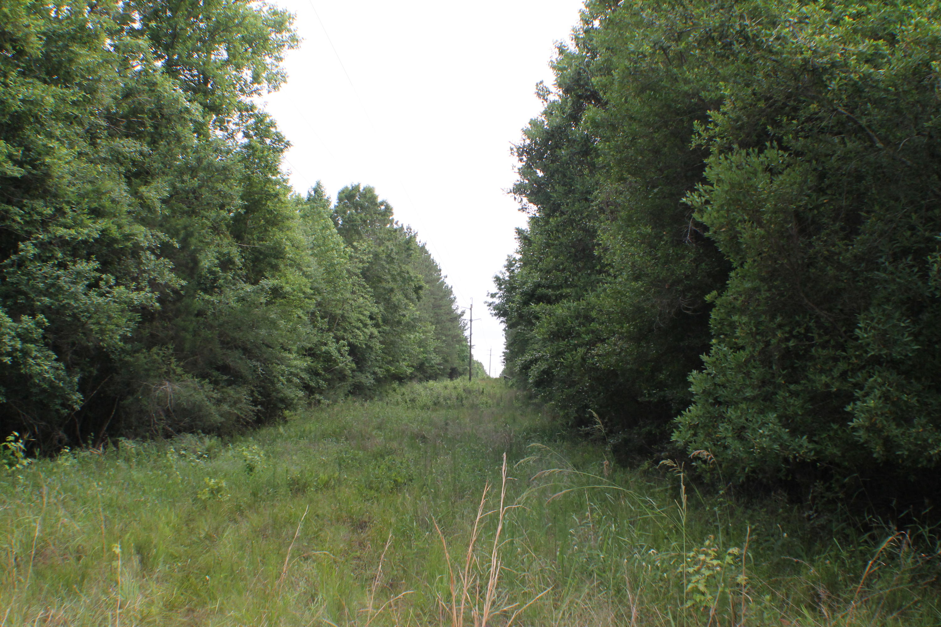 3960 Millside Road Laurel Hill, FL 32567 - Photo 20 of 35 IMG_7071
