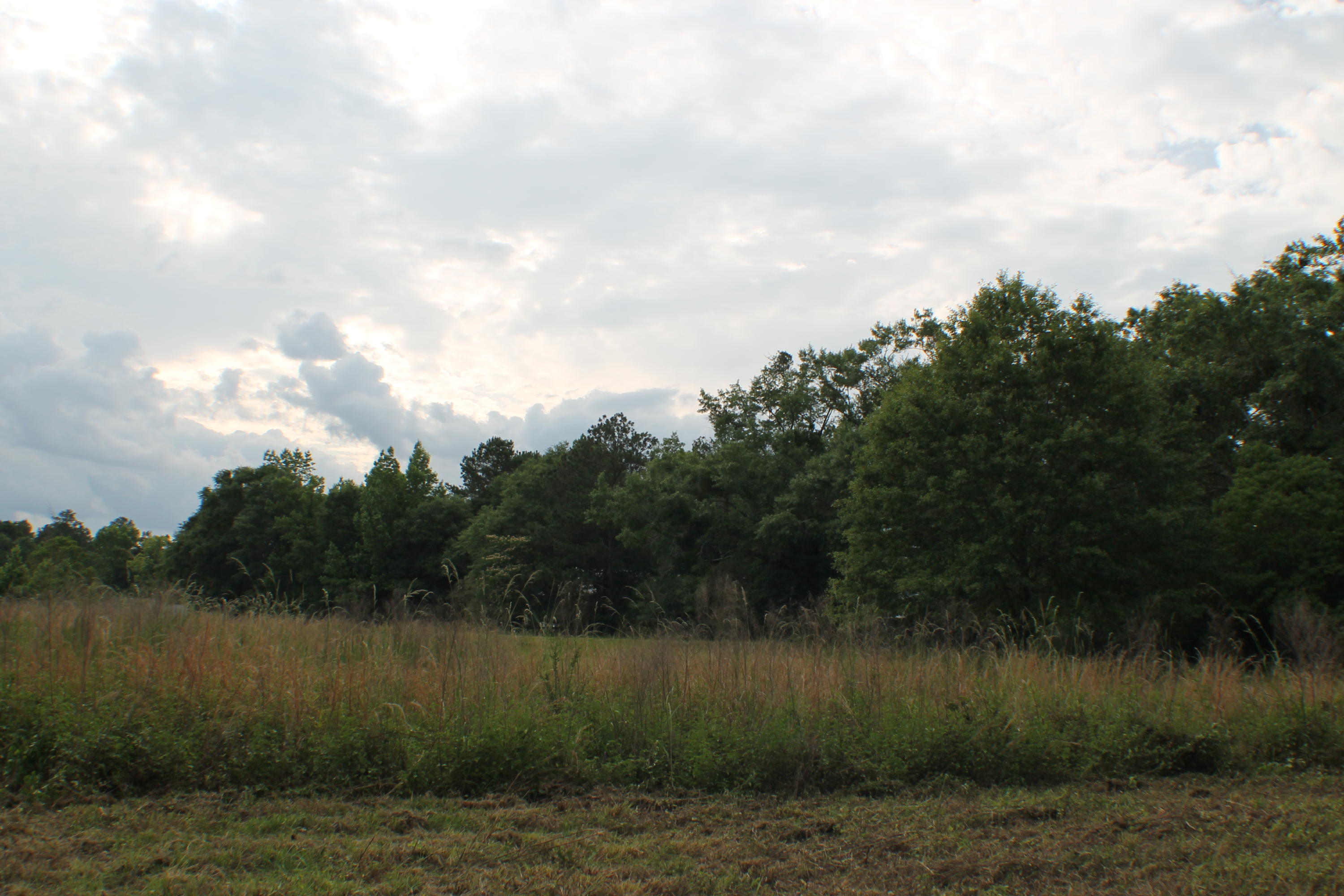3960 Millside Road Laurel Hill, FL 32567 - Photo 28 of 35 IMG_7079