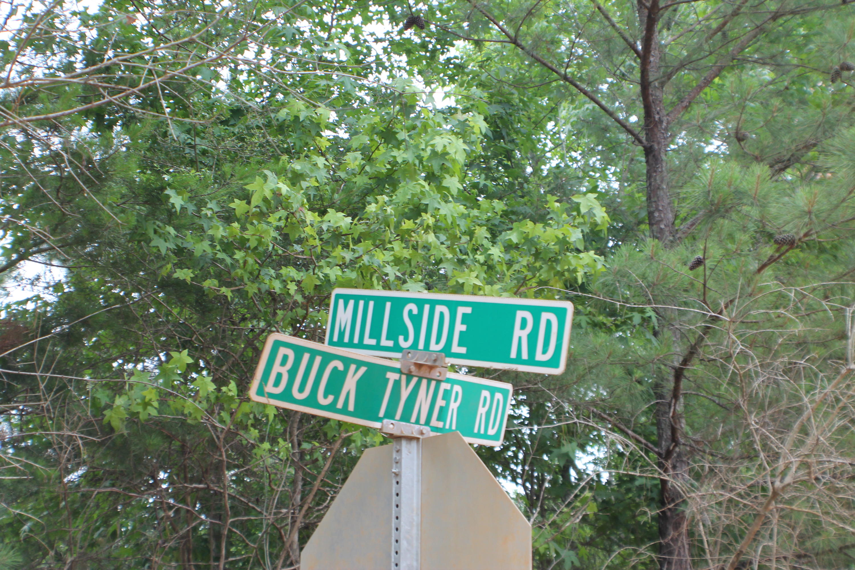 3960 Millside Road Laurel Hill, FL 32567 - Photo 32 of 35 IMG_7102
