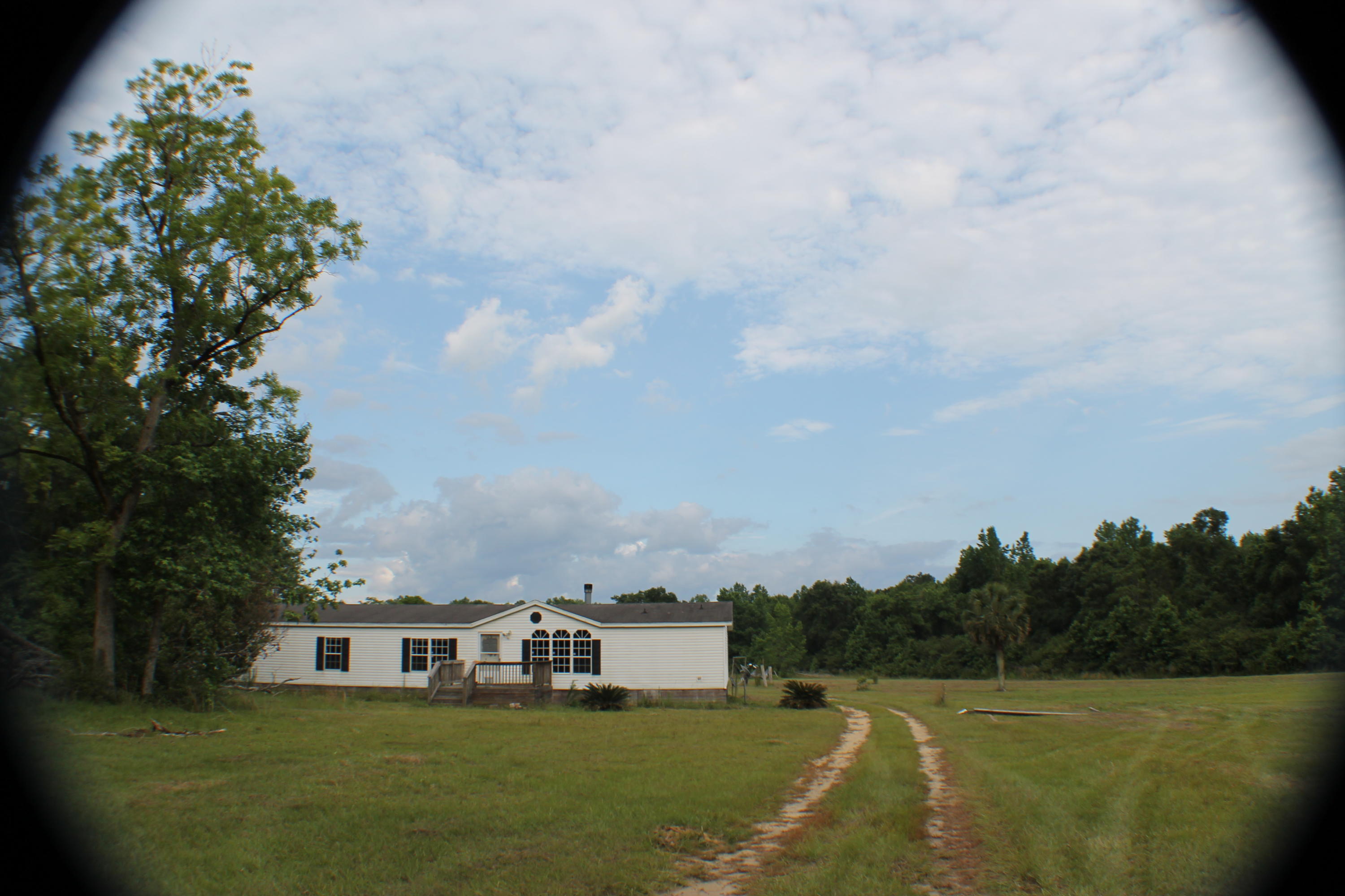 3960 Millside Road Laurel Hill, FL 32567 - Photo 4 of 35 IMG_7084