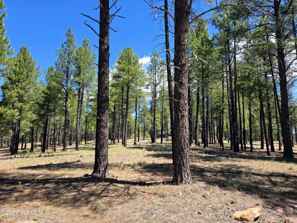 $1,099,000 | 4611 East Monroe Street, Flagstaff, AZ 86004