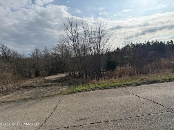 $6,000 | Eiland Avenue, Louisville, MS 39339
