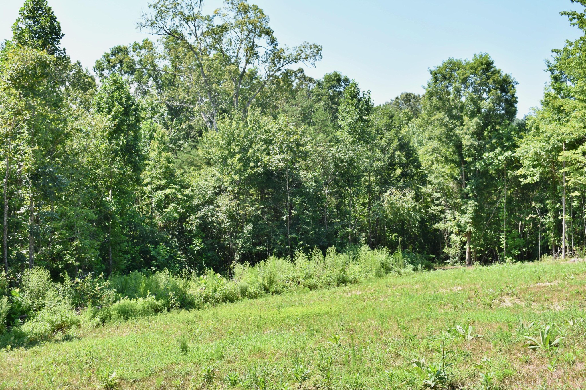 521 Norton Road Philadelphia, TN 37846 - Photo 19 of 42