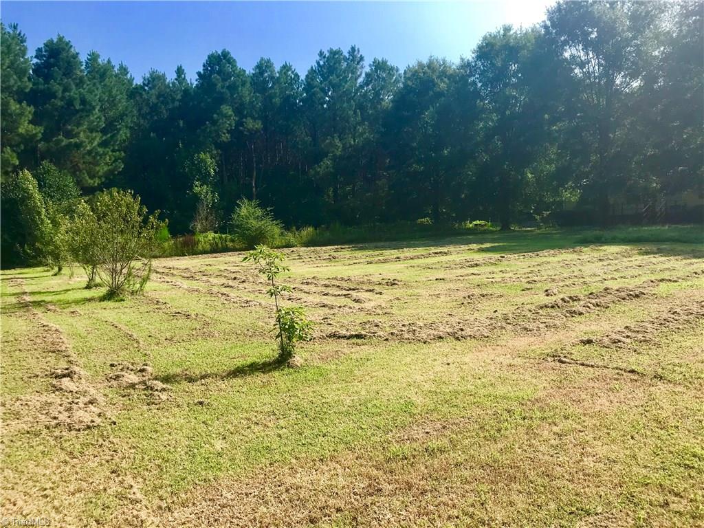 7797 Howard Mill Road Bennett, NC 27208 - Photo 3 of 16 Huge front yard!