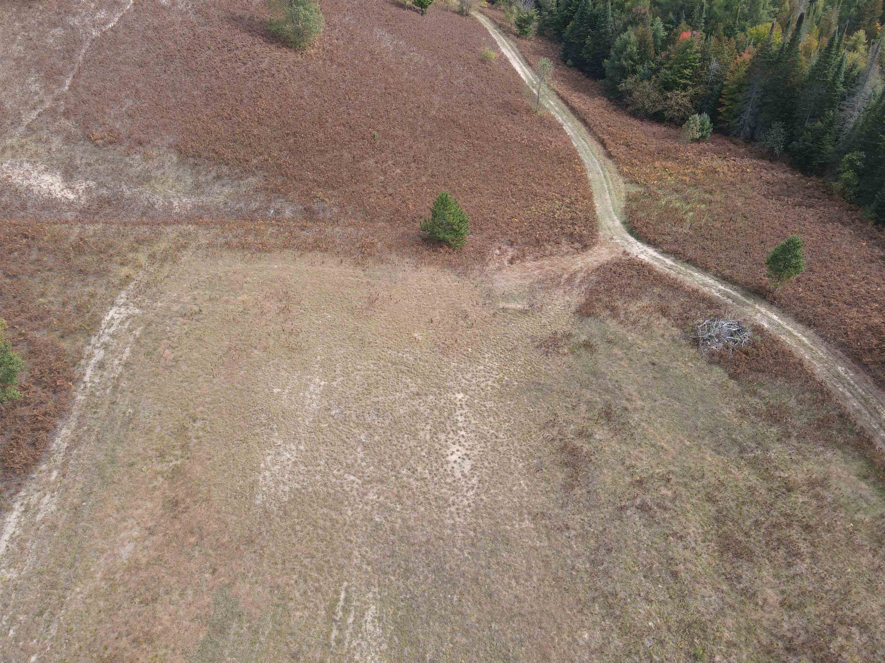 90 A Ridgeview Drive Kalkaska, MI 49646 - Photo 6 of 75